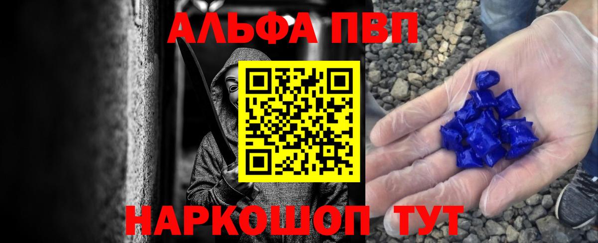 Альфа ПВП СК КРИС Баксан