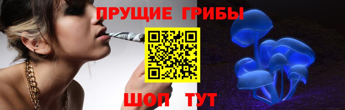Псилоцибиновые грибы Psilocybine cubensis  Вход с VPN  Баксан 